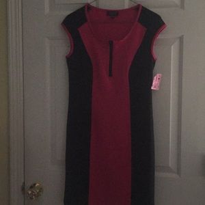 Spense Petite Dress